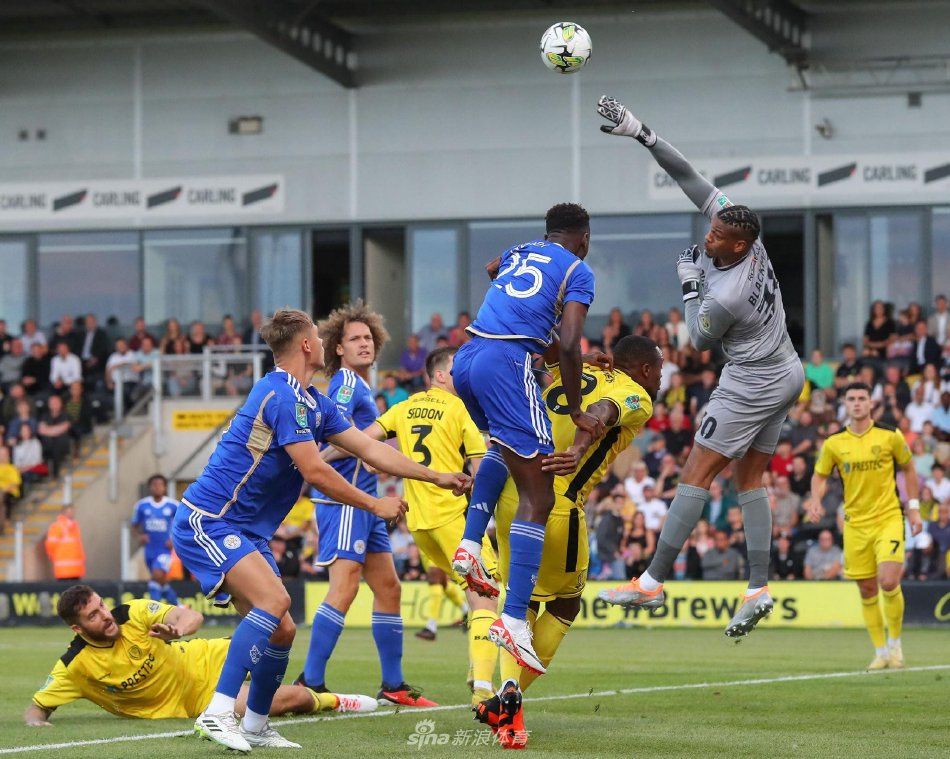 季效力于费 季效力于费